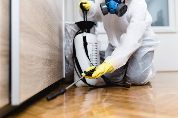 Best Pest Control Near Me  in Detroit Lakes, MN