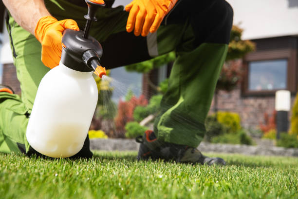 Best Pest Removal Services  in Detroit Lakes, MN