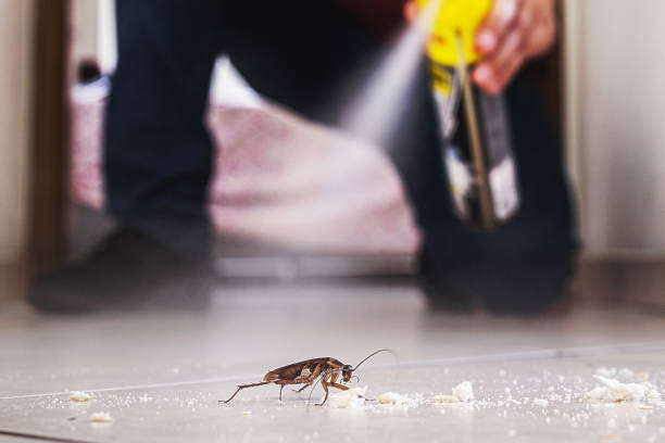 Pest Control Cost in Detroit Lakes, MN