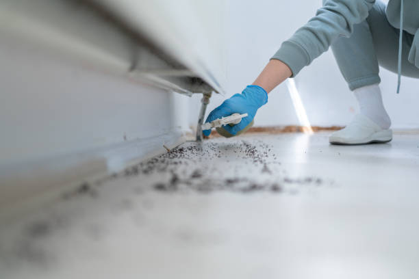 Best Best Pest Control Companies  in Detroit Lakes, MN